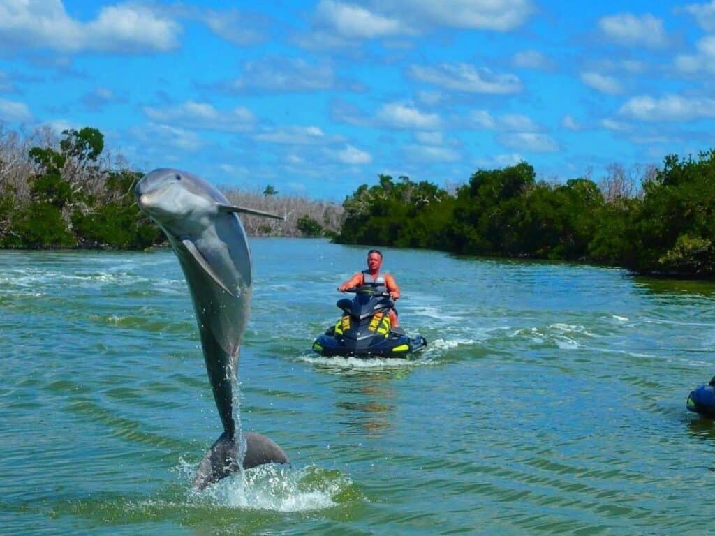 Man on jet ski watching a dolphin jumping